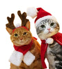 Warm Christmas Hat Pet Costume for Cat