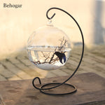 Behogar Clear Round Shape Hanging Glass Acquario Ciotola per pesci Serbatoio per fiori Vaso per piante Casa con portapacchi da 28 cm di altezza