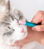 Eco-Friendly Kitten Eye Rub Handheld Cat Eye Wipe Rub Eyes Poo Brush Cleaning Reusable Buckle Design Pet Comb Tear Stain Brush
