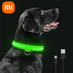 Collari per cani incandescenti a LED Collare luminoso impermeabile ricaricabile Collare regolabile per cani con luce notturna Collana di sicurezza per cani